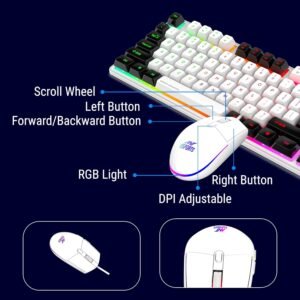 Ant Esports KM1610 LED Gaming Keyboard and Mouse Combo, 104 Keys Rainbow Backlit Keyboard and 7 Colour RGB Mouse for PC Laptop Xbox PS4 Gamers and Work, White